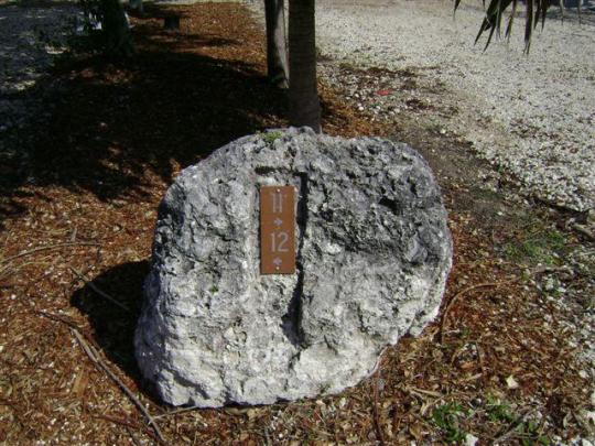 John Pennekamp Coral Reef State Park site 012