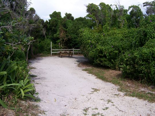 Bahia Honda State Park site 054