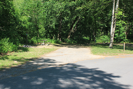 Montauk State Park site 415