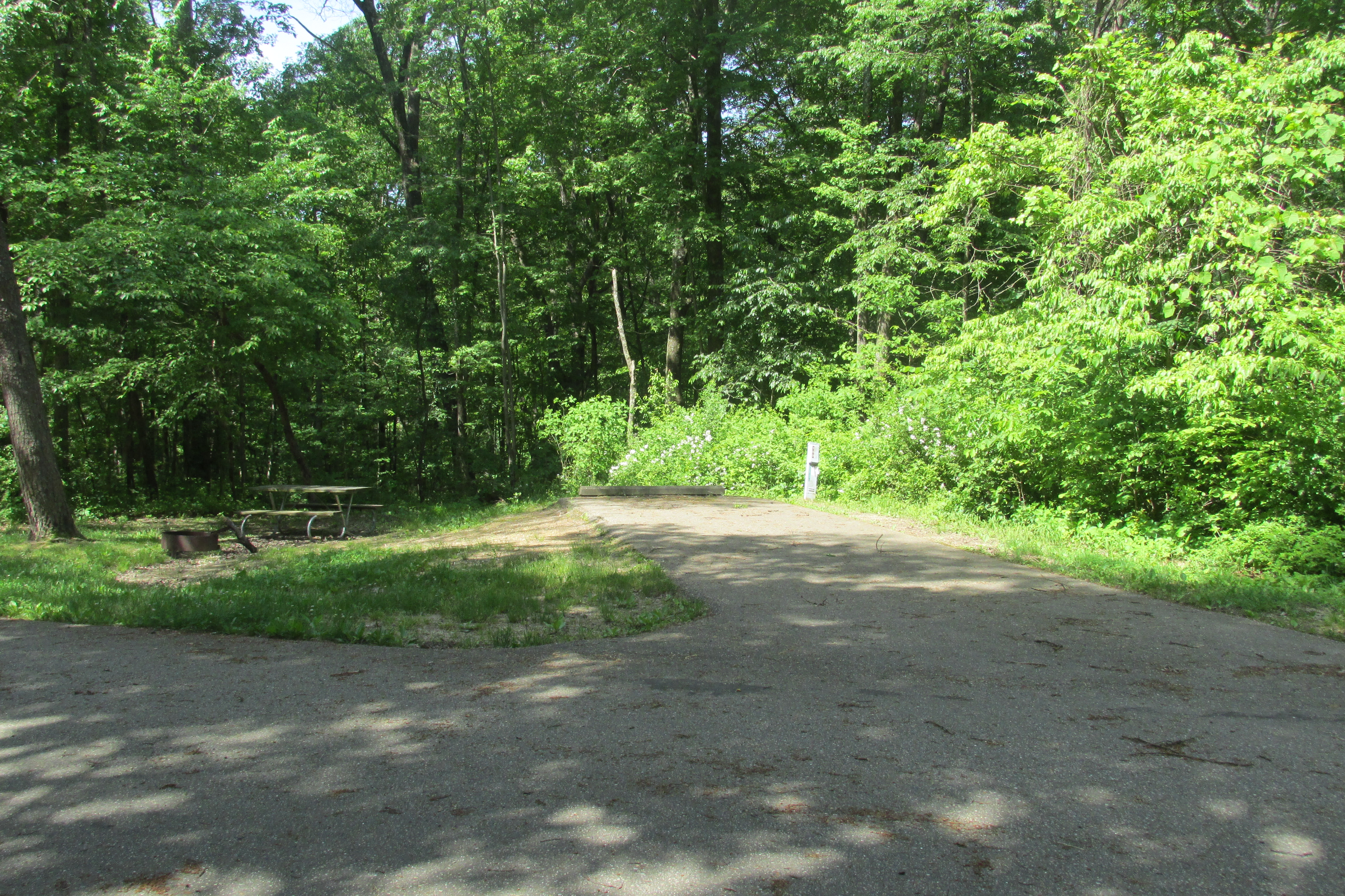 Hocking Hills State Park site 159