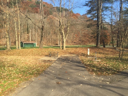 Mohican State Park site 137