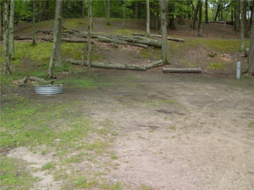 Cedar site 120