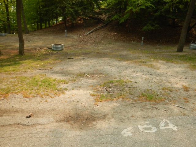 Beechwood site 264