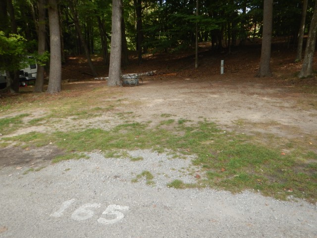 Cedar site 165