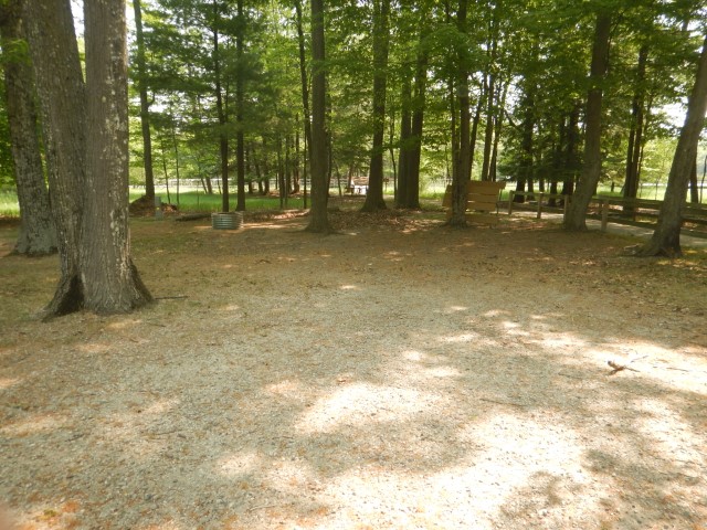 Beechwood site 297
