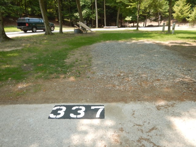 Beechwood site 337