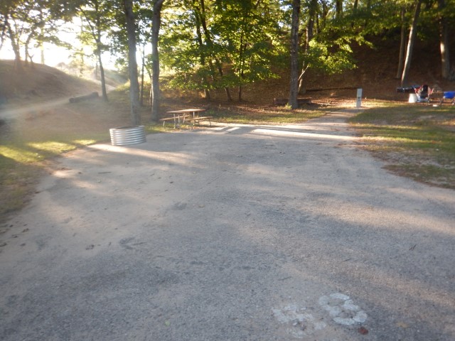Pines site 58