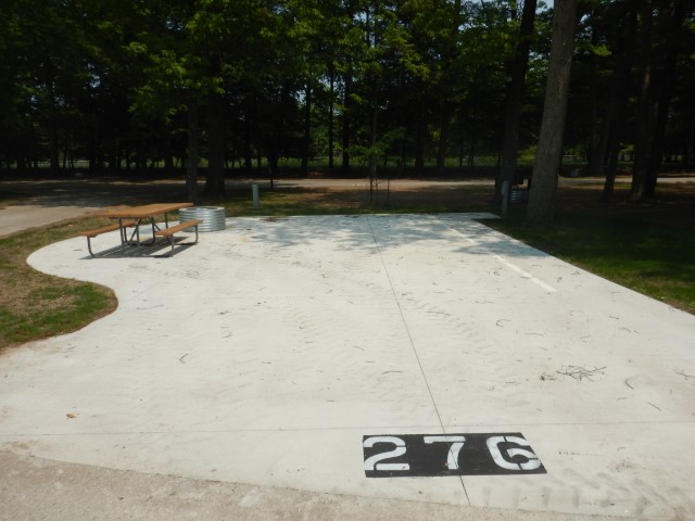 Beechwood site 276