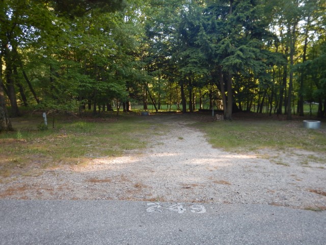 Beechwood site 249