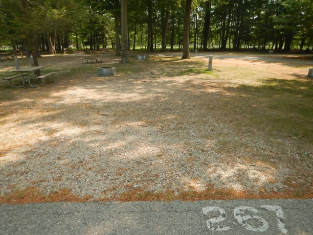 Beechwood site 267