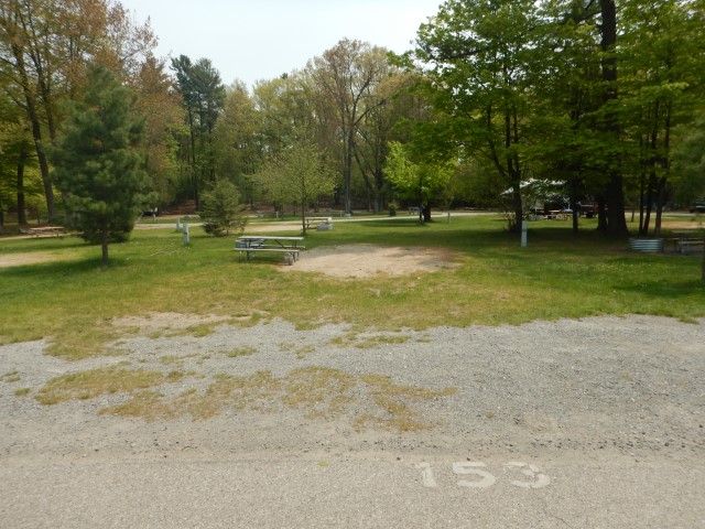 Cedar site 153