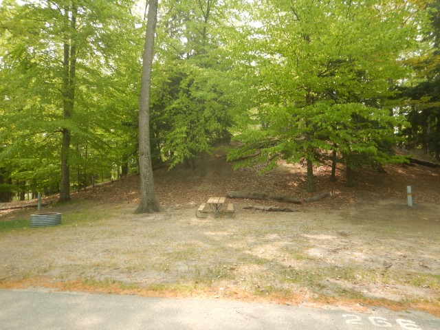 Beechwood site 266
