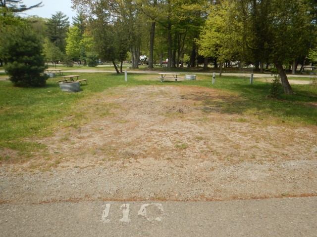 Cedar site 110