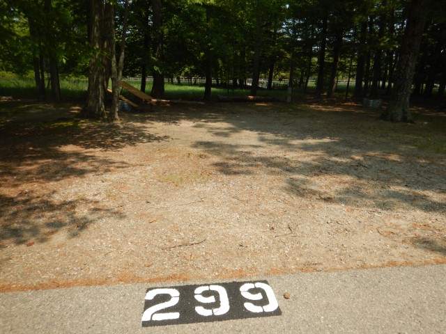 Beechwood site 299