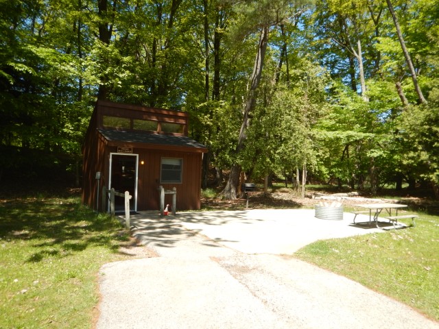 Cedar site Cedar
