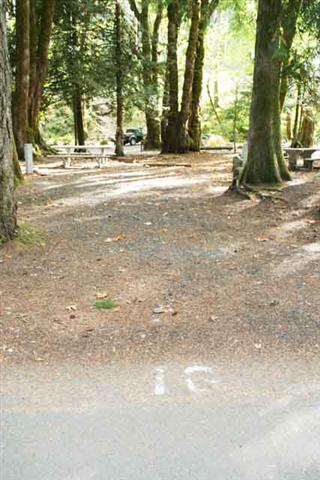 Potlatch State Park site 16