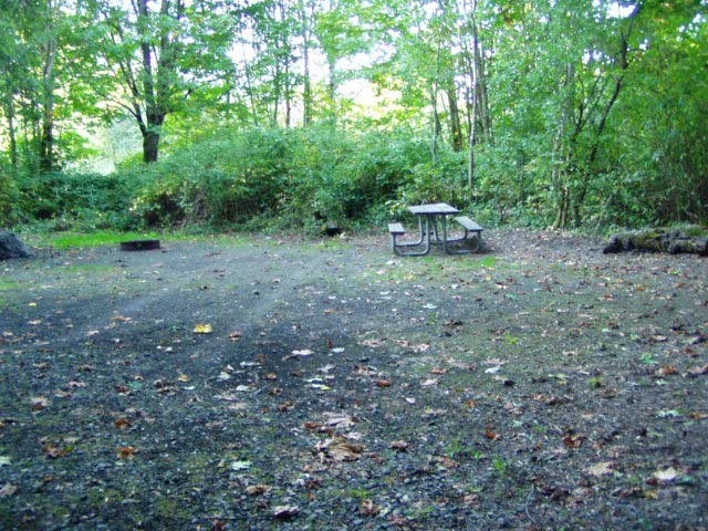 Dosewallips State Park site 122