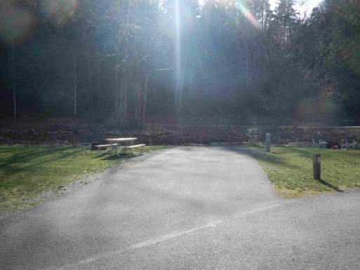 Dosewallips State Park site 28