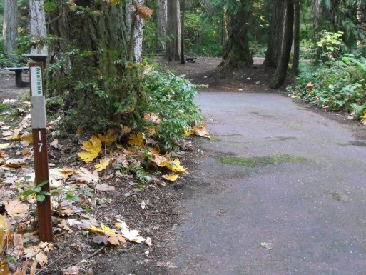 Fort Townsend State Park site 17