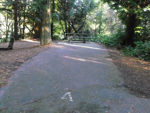 Fort Townsend State Park site 4