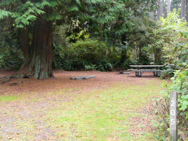 Deception Pass State Park site 205