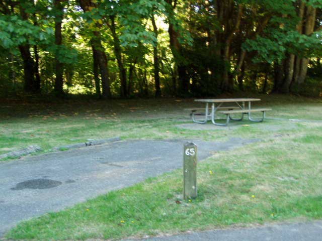 Dosewallips State Park site 65