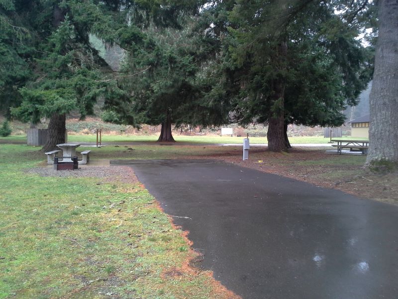 Dosewallips State Park site 12