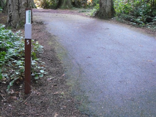 Fort Townsend State Park site 5