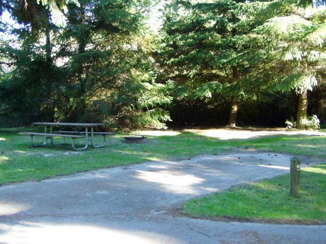 Dosewallips State Park site 55