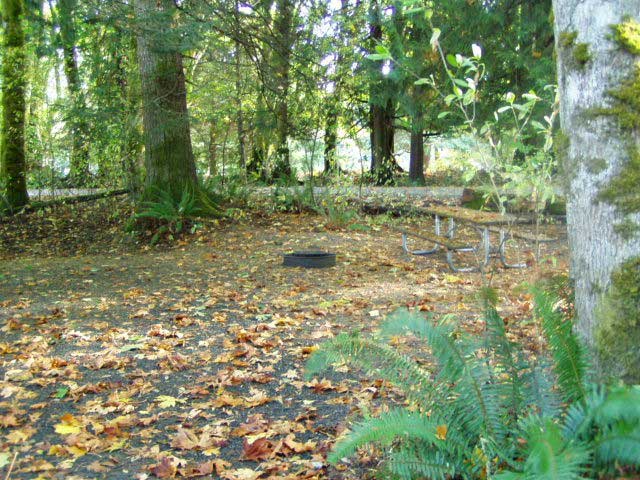 Dosewallips State Park site 119