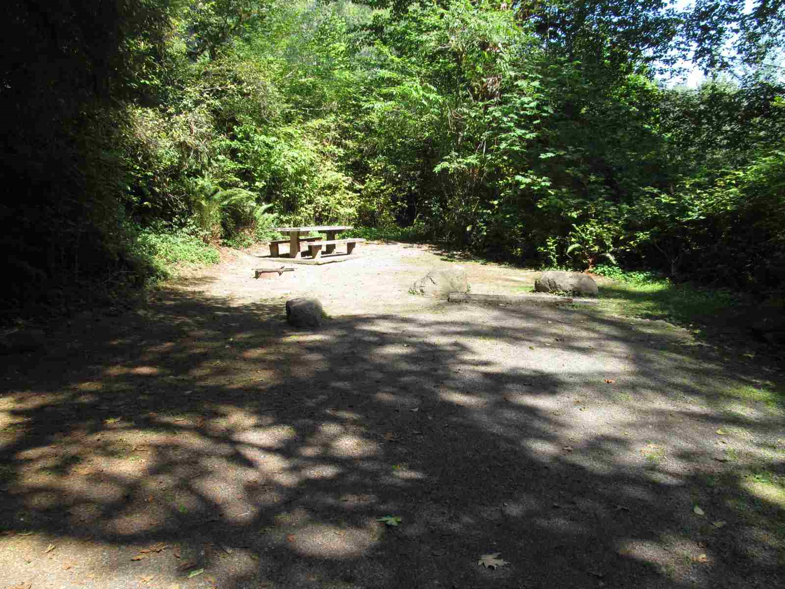Bogachiel State Park site 39