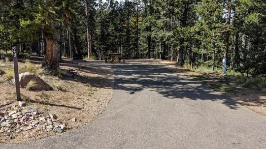 Mueller State Park site 029