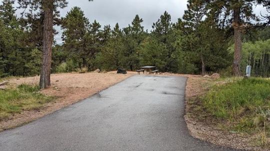 Mueller State Park site 044