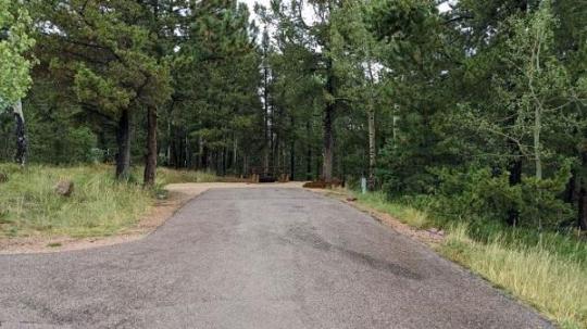 Mueller State Park site 001