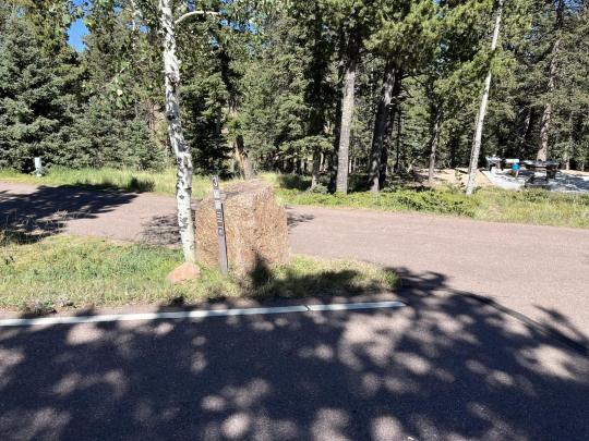 Mueller State Park site 003