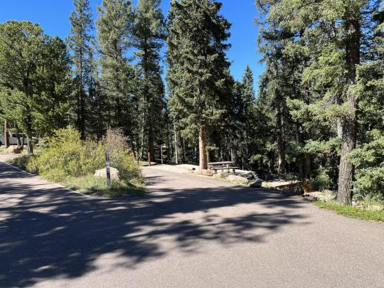 Mueller State Park site 021