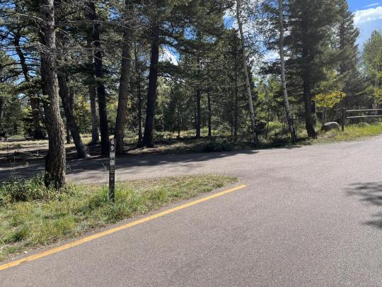 Mueller State Park site 069