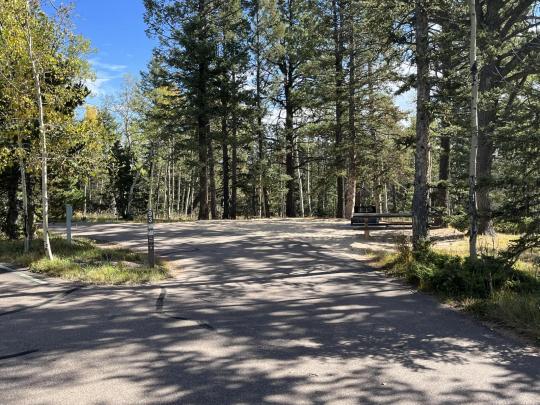 Mueller State Park site 093