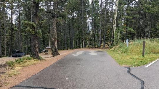 Mueller State Park site 098