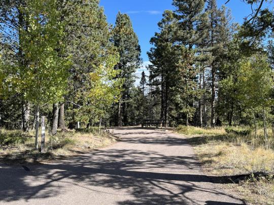 Mueller State Park site 111