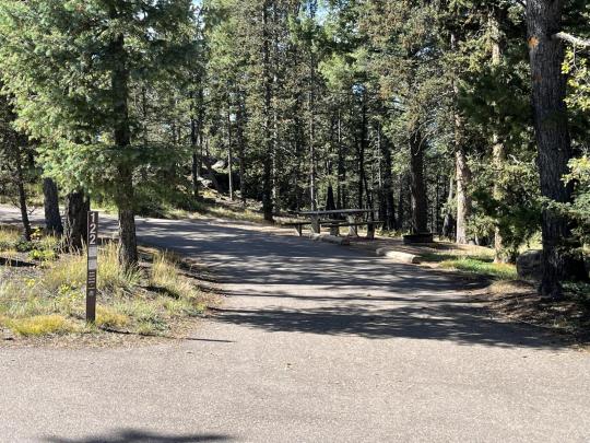Mueller State Park site 122