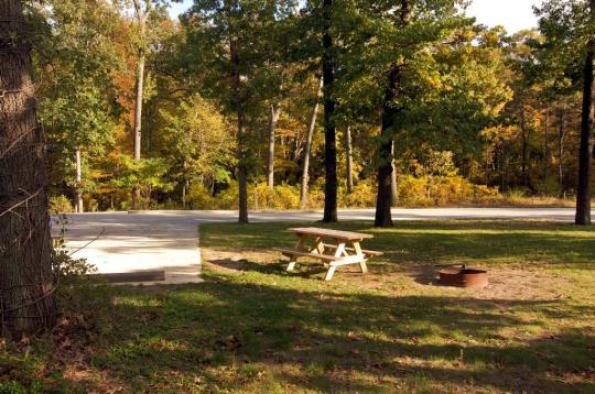 Indiana Dunes State Park site 084