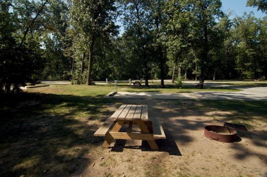 Indiana Dunes State Park site 058