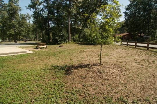 Indiana Dunes State Park site 076
