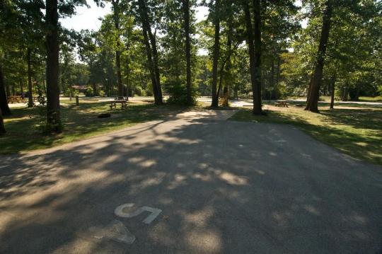Indiana Dunes State Park site 054