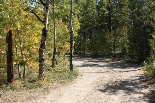 Hermit Park site B22