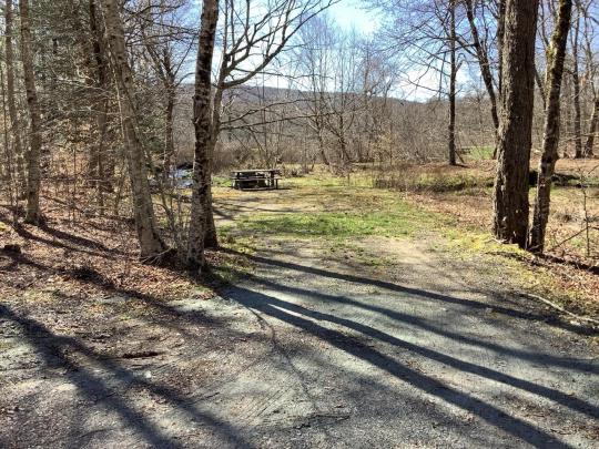 MONGAUP POND site 154