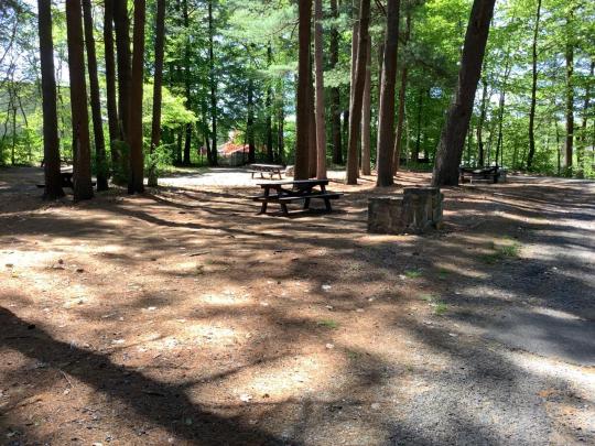LAKE GEORGE BATTLEGROUND site 027