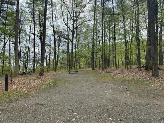 TAUGHANNOCK FALLS STATE PARK site 032