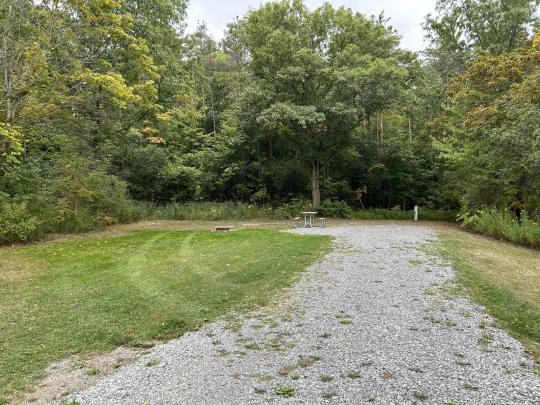 KEUKA LAKE STATE PARK site 019 E